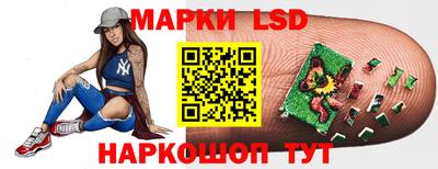 гидра Кандалакша