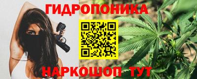 гидра Кандалакша