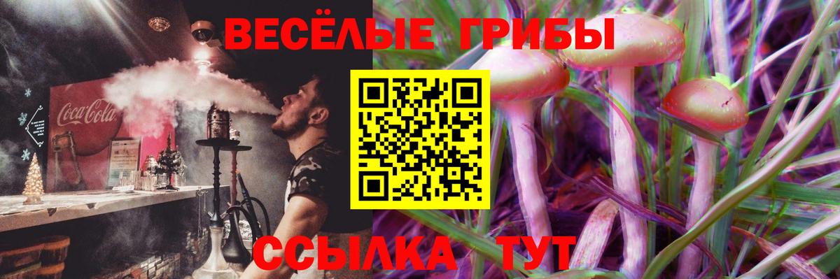 Галлюциногенные грибы мухоморы Буйнакск