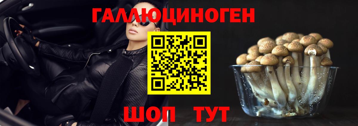 Псилоцибиновые грибы ЛСД  Вход с VPN  Буйнакск 