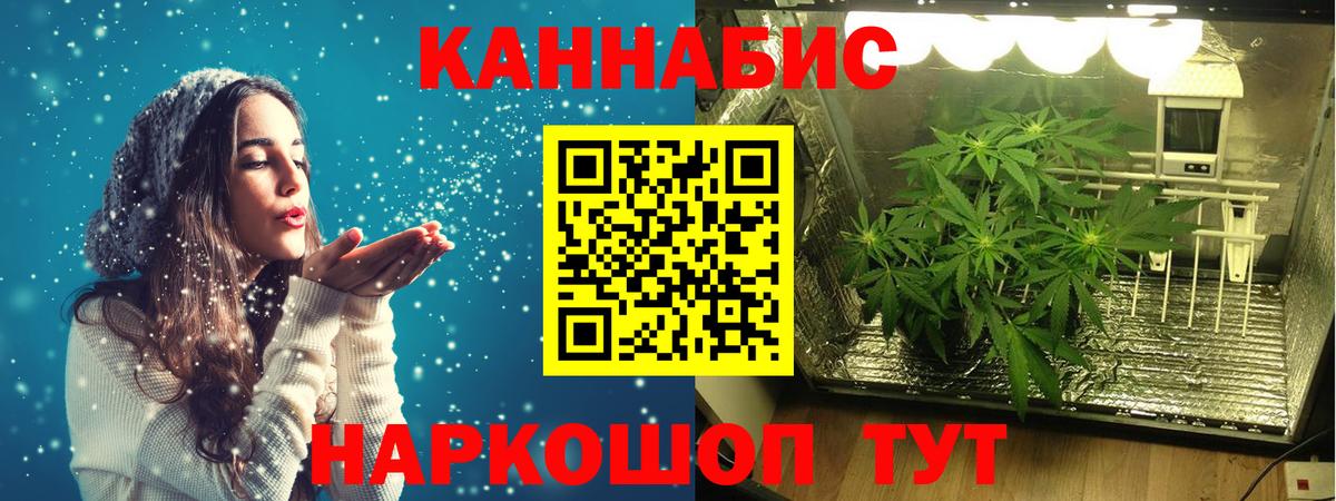 Бошки Шишки гибрид Буйнакск